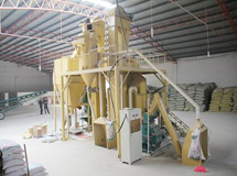 時(shí)產(chǎn)8噸粉料機(jī)組