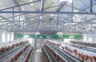 雞場(chǎng)喂料機(jī)