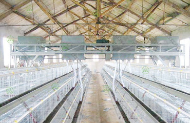 雞場喂料機(jī)2 雞場喂料機(jī)2