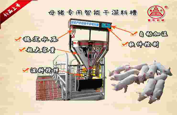 產(chǎn)床母豬智能干濕粥料喂料槽